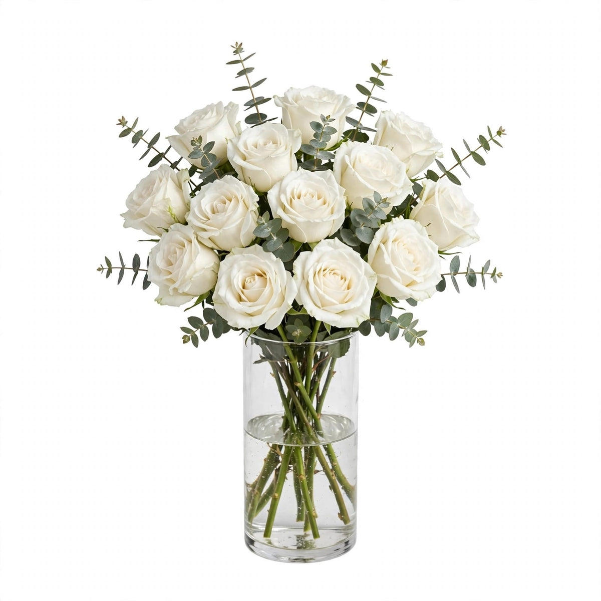 Heavenly White Roses